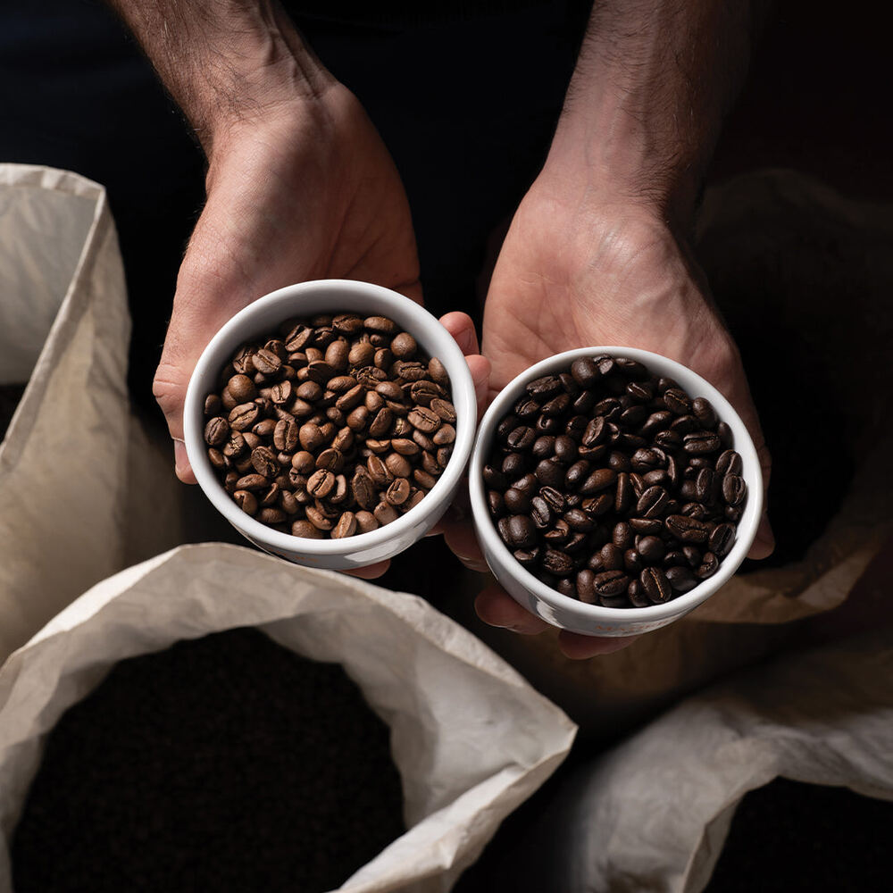 Two cups of coffee beans, one light roast and one dark, held in two hands